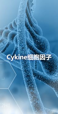 Cykine细胞因子
