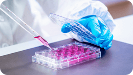 赛因生物（Cykine）重磅推出64种细胞因子产品！