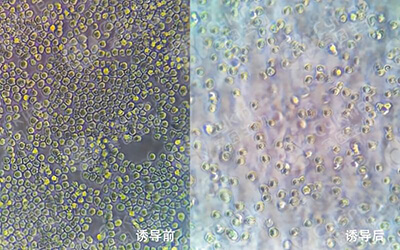 南京鼓楼医院客户实验结果