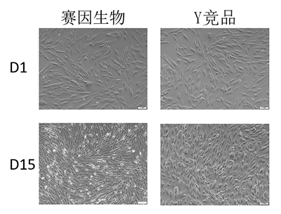 湖北工业大学客户实验结果