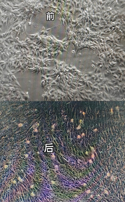 湖北工业大学客户实验结果